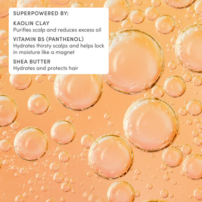 Shampoo — gentle formula by Evereden