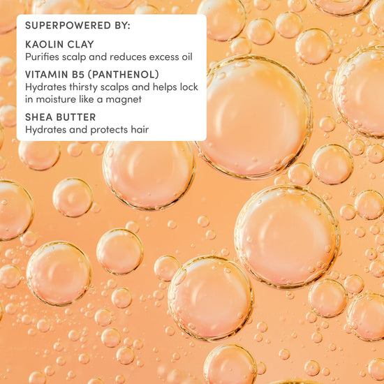 Shampoo — gentle formula by Evereden