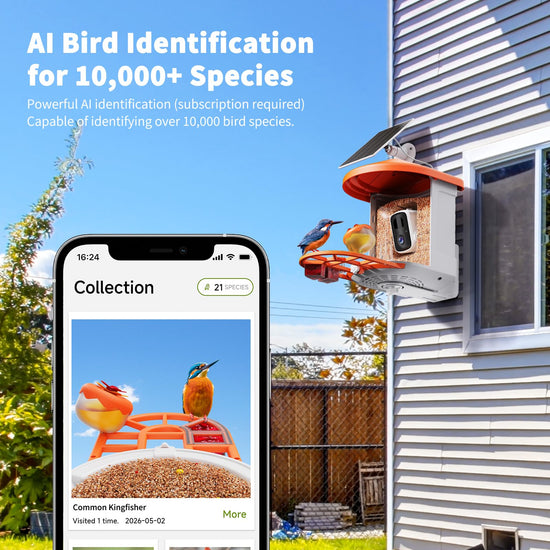 HARYMOR wildlife feeder — Bird feeder with camera and AI species identification