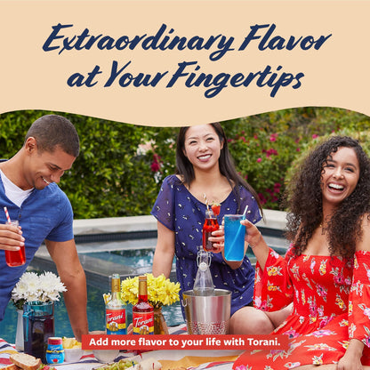 Torani flavored drink concentrate — sugar free raspberry variation