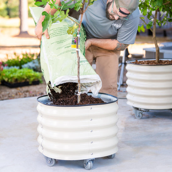 Rolling Metal Planter Pot with Wheels — 30 Gallon, 24" Round | Olive Green