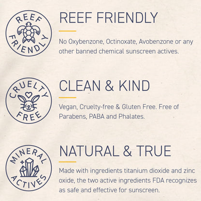 Brush On Block SPF 30 mineral powder sunscreen — refillable and reef friendly