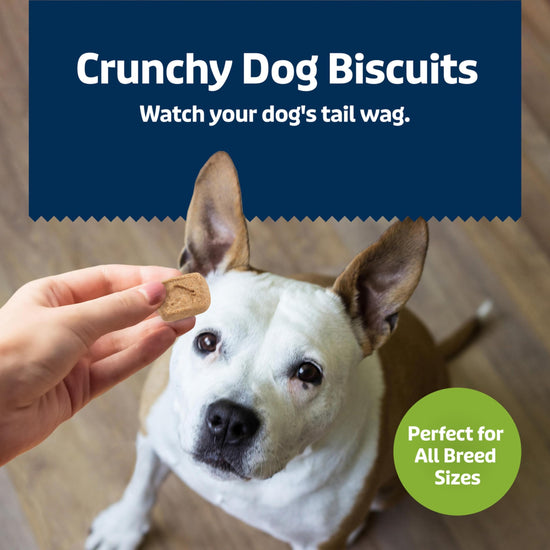 Pet food — Blue Buffalo health bars natural crunchy dog treats biscuits