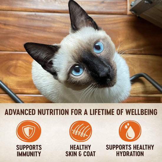 Pet food — Wellness CORE tiny tasters pate chicken