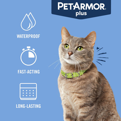 PetArmor Plus flea and tick prevention for dogs — effective protection formula
