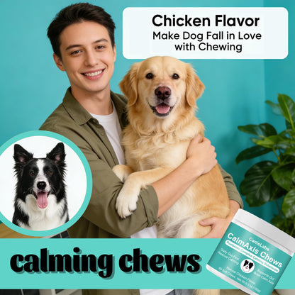 Calmaxis Chews, Calming Chews for Dogs, Soothe Your Pet's Emotions, Reduce Stress and Anxiety for Puppies Small All Dogs, 60 Count (1pc)