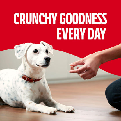 PET FOOD — Milk-Bone MaroSnacks dog treats with marrow flavoring
