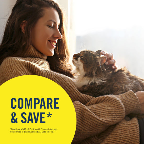 PetArmor Plus flea and tick prevention for dogs — effective protection formula