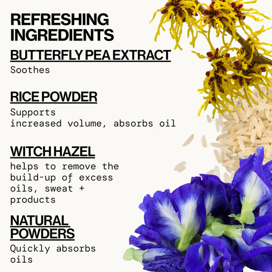 Pacifica shampoo — sulfate free anti-dandruff formula with apple cider and keratin