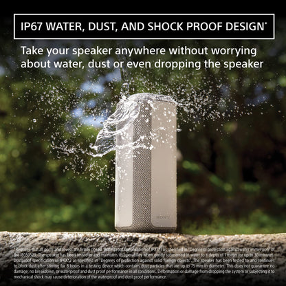 Sony SRS-XE300 wireless portable speaker — X-Series design