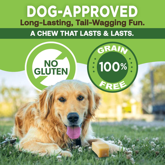 EcoKind Premium Yak cheese chew for large breed dogs, all natural and high protein.
