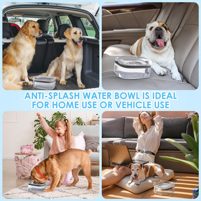 Pet feeder — Spill proof design for slow drinking dogs