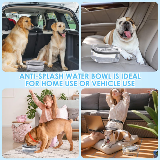 Pet feeder — Spill proof design for slow drinking dogs