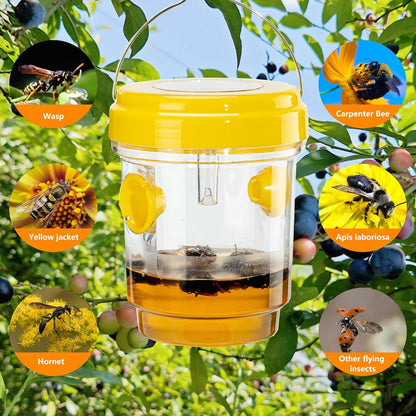 Wasp traps - 3 pack for outdoor useWasp traps - 3 pack for outdoor use.
