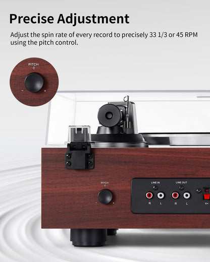 ANGELS HORN turntable with built-in phono preamp and bookshelf speakers