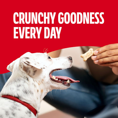 NutriChef pet food four-piece set