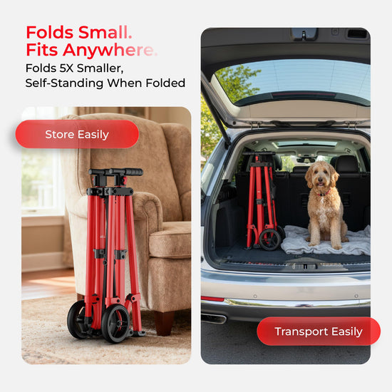 Rolloy walker — lightweight folding design with adjustable height and 2 wheels