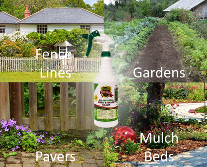 Natural Armor weed and grass killer — all-natural concentrated formula without glyphosate.
