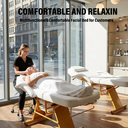 Tythical Tattoo Facial Chair for Clients, Multi-Purpose Esthetician Lash Wax Bed with Adjustable Backrest &Armrests, Professional Beauty Salon Spa Chair for Tattoo Shop Massage Furniture, White Glod