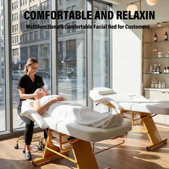 Tythical Tattoo Facial Chair for Clients, Multi-Purpose Esthetician Lash Wax Bed with Adjustable Backrest &Armrests, Professional Beauty Salon Spa Chair for Tattoo Shop Massage Furniture, White Glod