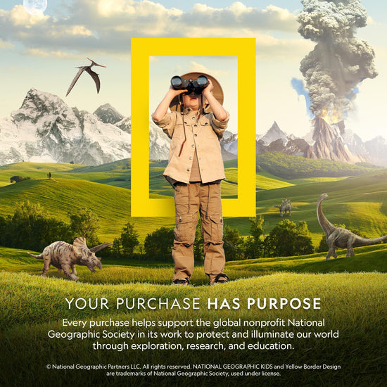 National Geographic science fundamentals kit — break open geodes with crystals and display stands