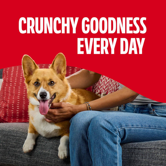 Milk-Bone dog treats — flavor snacks for dogs