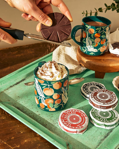 Taza discs — high-quality design for better performance and durability.