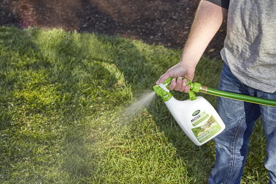Scotts MossEx weed and moss control agent — 3-in-1 ready-spray