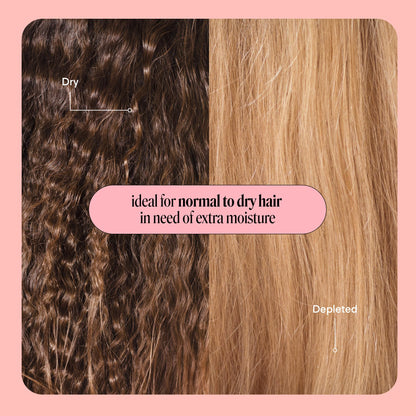 Conditioner — Moisture formula by Monday Haircare
