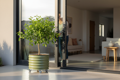 Rolling planter being moved indoors through glass door